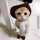 Cheri Davis's photo