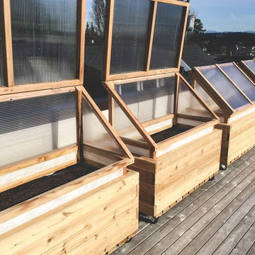 Four Season Rooftop Farm