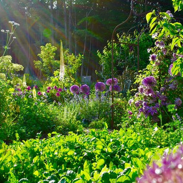 Edible Rural Oasis - Conway, MA