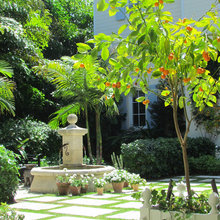 Landscaping Ideas