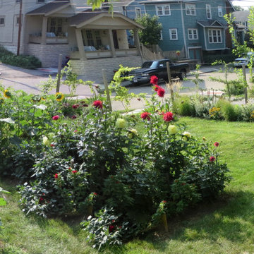Garden with edible fence and native flowers