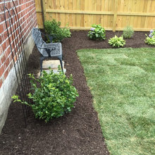 Best Backyard Ideas