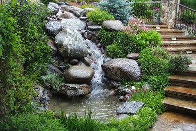 Inspiration for a tropical pool remodel in Denver