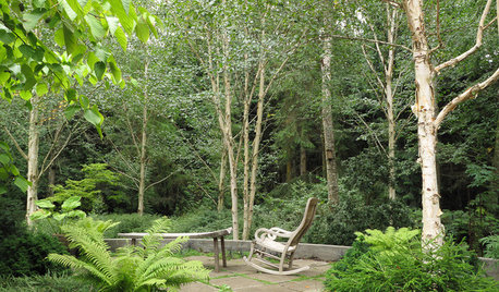 Create a Home To Help You Care for a Loved One With Dementia