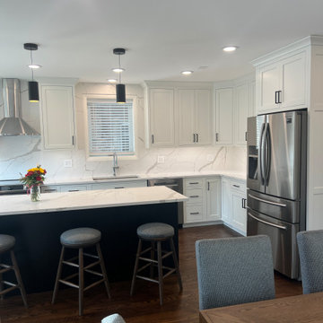 Chicago Kitchen/Dining Renovation
