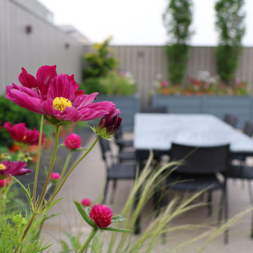 DC Rooftop Deck