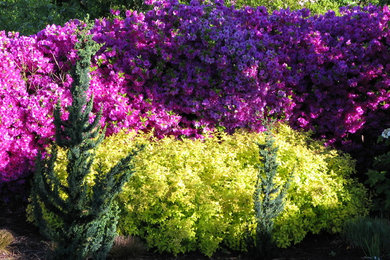 Design ideas for a traditional landscaping in Portland.