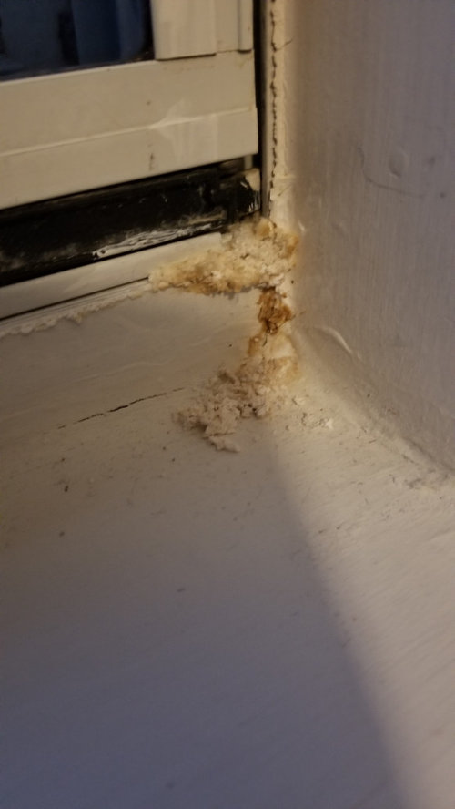 Awful odor coming from window