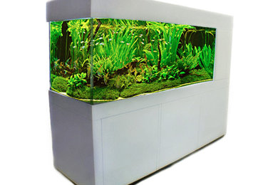 Aquarium all-in-one system (hire or purchase)