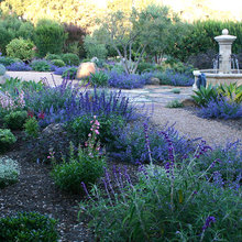 Landscape Ideas