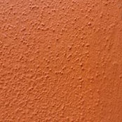 Paul Schick's photo