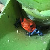 Jeffrey Lutters's photo