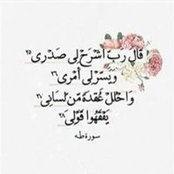 Foto von Menna Magdy