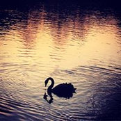 Anna Schäfer's photo