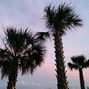 Cathy Coburn's photo