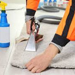 Carpet Steam Cleaning Adelaide