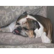 Heather Gunning's photo