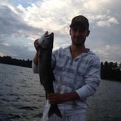 Philippe Lepage's photo