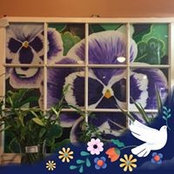 Mary Sauer-Burke's photo
