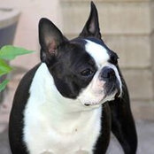 Kelly Feickert's photo