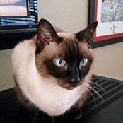 Trish Sullivan's photo