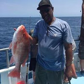 Frank White's photo