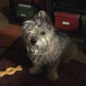 Chris Forsti's photo