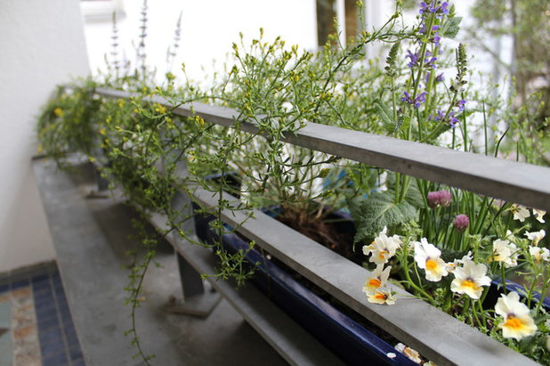 Mediterran Garten by Anja Winnes / ao gartengestaltung