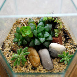 Planted decor - Home Decor