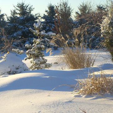 A Garden for Every Season