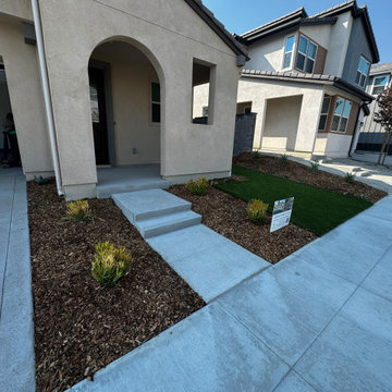 Front yard Remodel