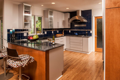 Trendy kitchen photo in Denver