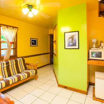 Basement Guest Room Futon ideas