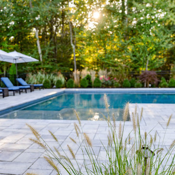 North Reading Backyard Pool Oasis