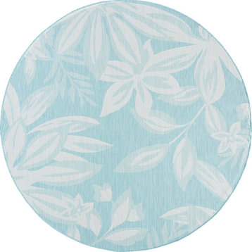 Edda Transitional Floral Indoor Rug, Aqua/Cream, 5'3" Round