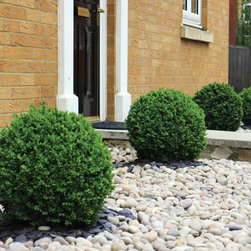Pierres D&eacute;coratives - Outdoor Decor