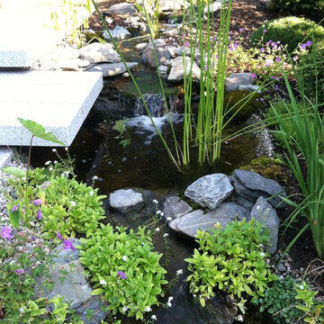 Newport Samurai Garden/ Stream