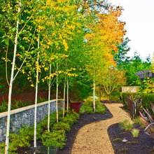 Paths for our yard