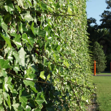 Giardino Cofiloc School