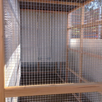 chicken coop