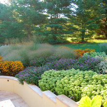 Seitz Fernhill Landscape