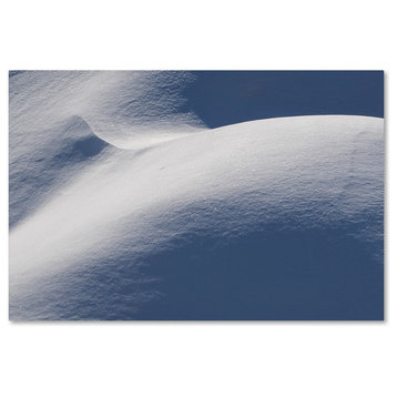 'Abstract Snow Mound 3' Canvas Art by Kurt Shaffer