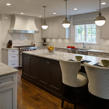 Meticulous Hinsdale Kitchen Makeover