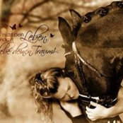 Nicole Mehrmann's photo