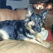 Michelle Angellotti-Pickering's photo