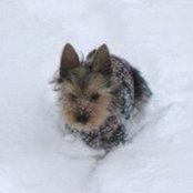 Foto von Dory Huskey