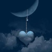 Ali Adnan's photo
