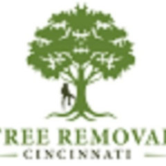 Tree Removal Cincinnati