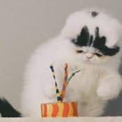 Foto von Debra Hill