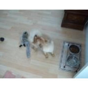 Barbara Wyman's photo